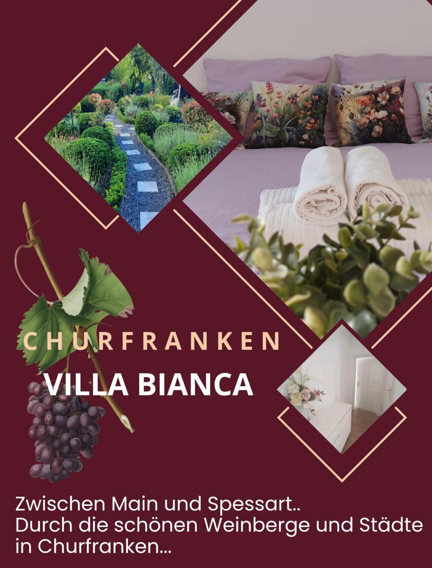 Villa Bianca - Holiday & Business Elsenfeld Екстер'єр фото